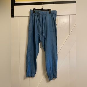 Sanctuary Blue Chambray Pants Size 1X